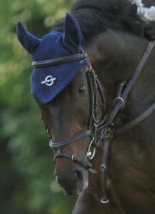 Réflexions sur l'alimentation