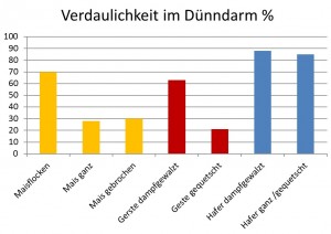 Hafer - macht er wirklich 