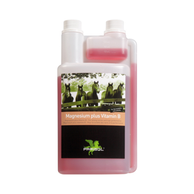 B&E Magnesium plus Vitamin B