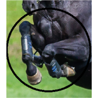 MSM + 4Joints (Aktion statt Fr. 159.00)