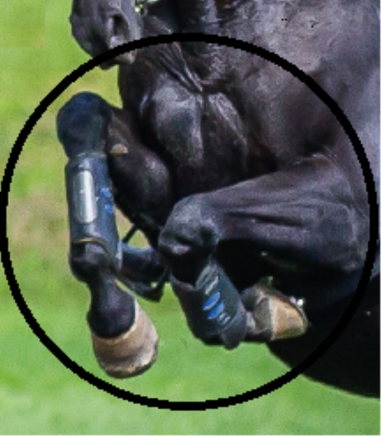 MSM + Synovate HA (Aktion statt Fr. 133.20)