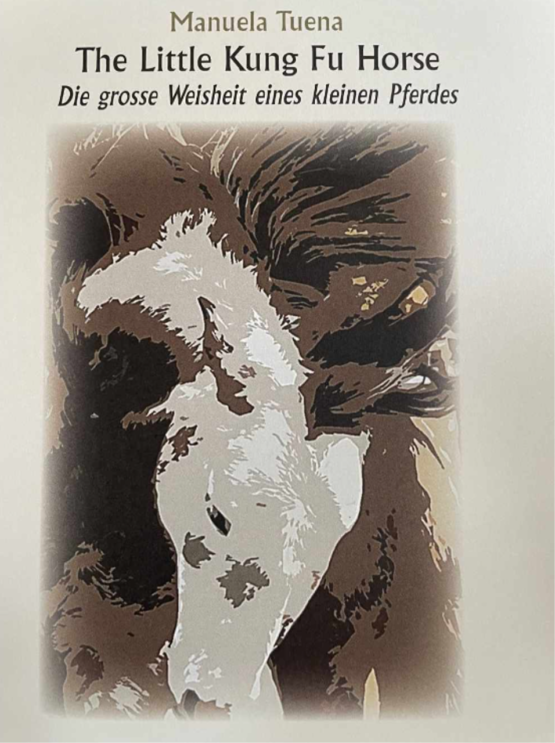 Buch The little Kung Fu Horse